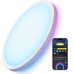 Govee Ceiling Light